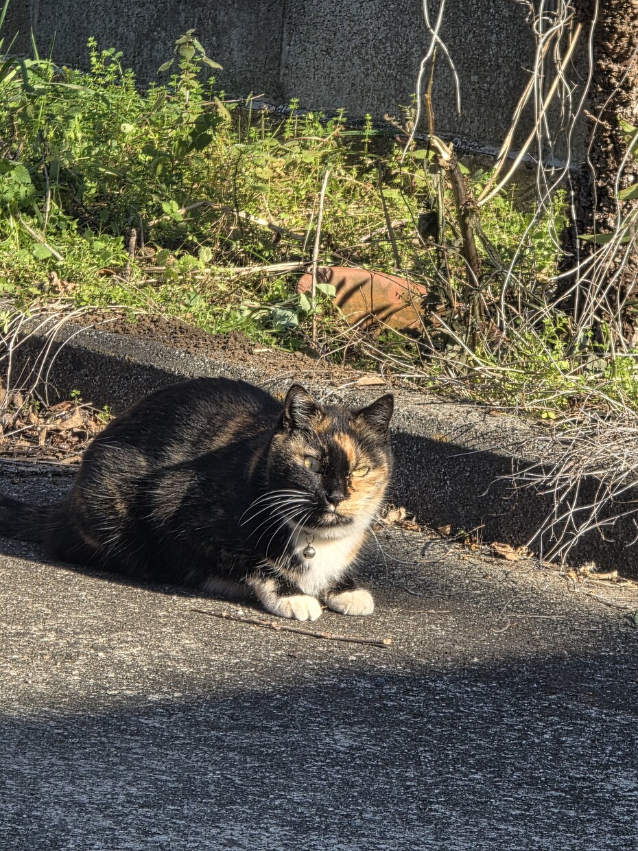 あなたの話し相手になります あなたの話し相手になり後悔させません。 イメージ1