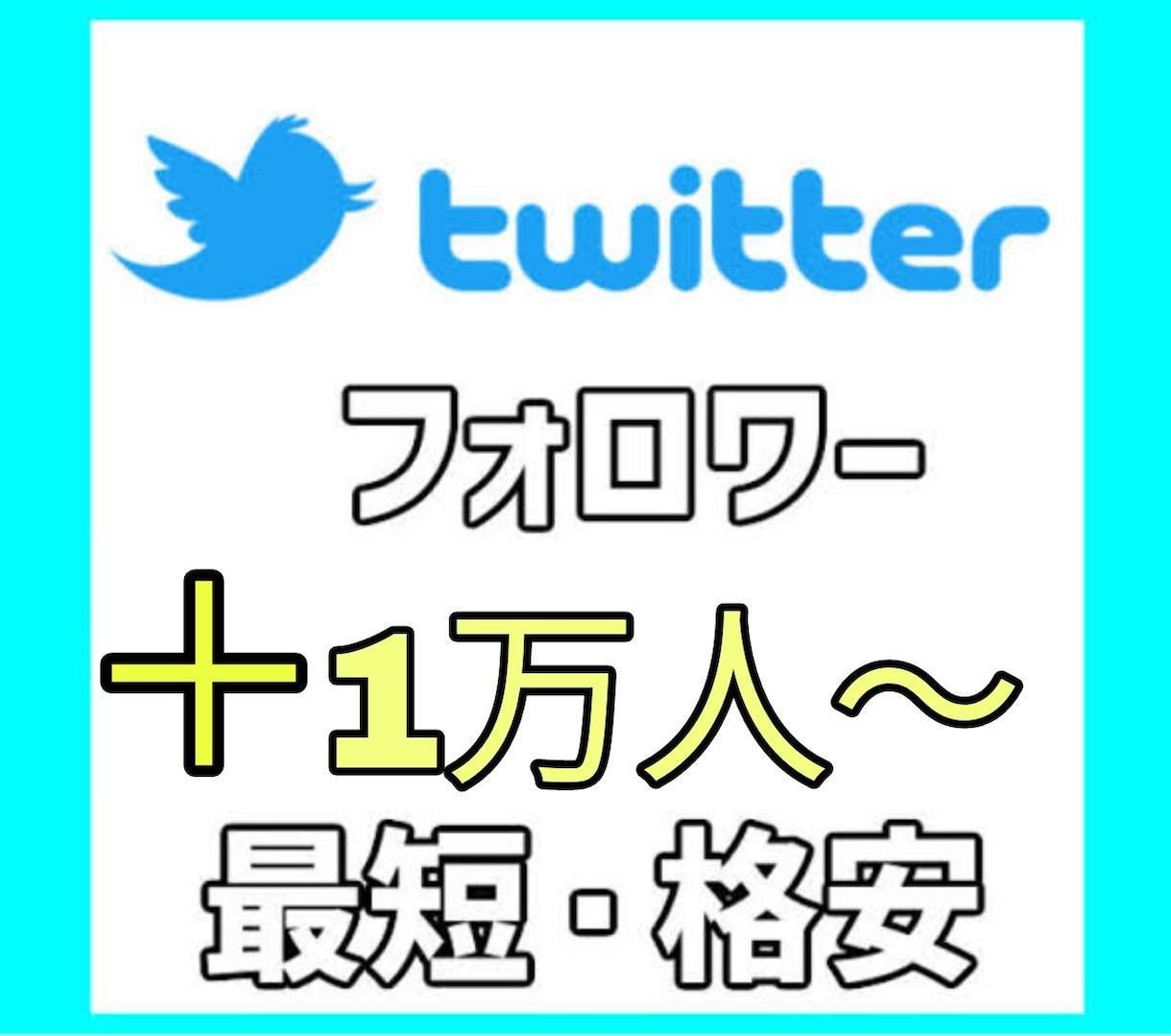 Twitterのフォロワー【1万人】増やします Twitter集客・フォロワー増やし・宣伝・拡散手伝います！ イメージ1