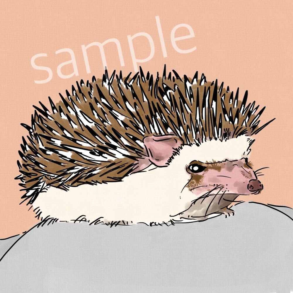 あなたのペットの似顔絵アイコンを描きます 動物を描くのが苦手という方に代行として似顔絵を描きます！ イメージ4