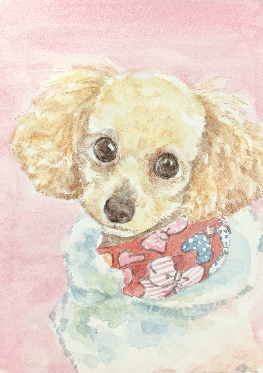 ふんわりかわいいペットの似顔絵描きます ★やわらかな色合いの水彩色鉛筆画 イメージ8