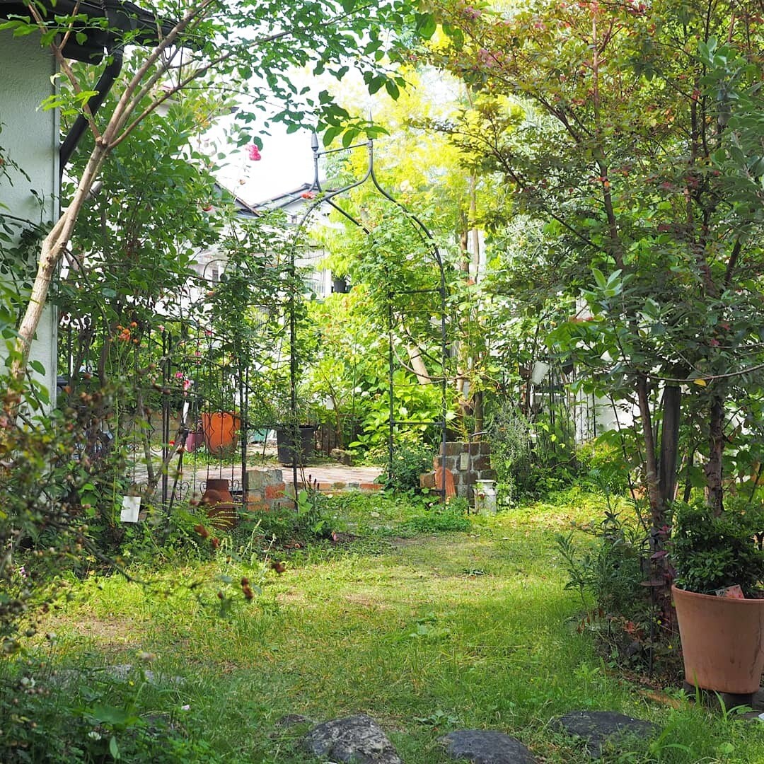 初心者さん向けに植物の育て方について相談承ります 初心者ならではのご質問や、どうしても植物を枯らしてしまう方に イメージ1