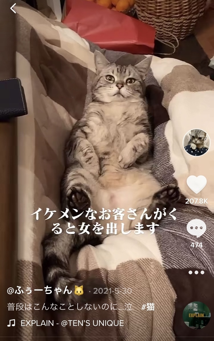 TikTokでバズる動画を作成します 【思わず見てしまう】引き付けのあるショート動画を作成します！ イメージ2