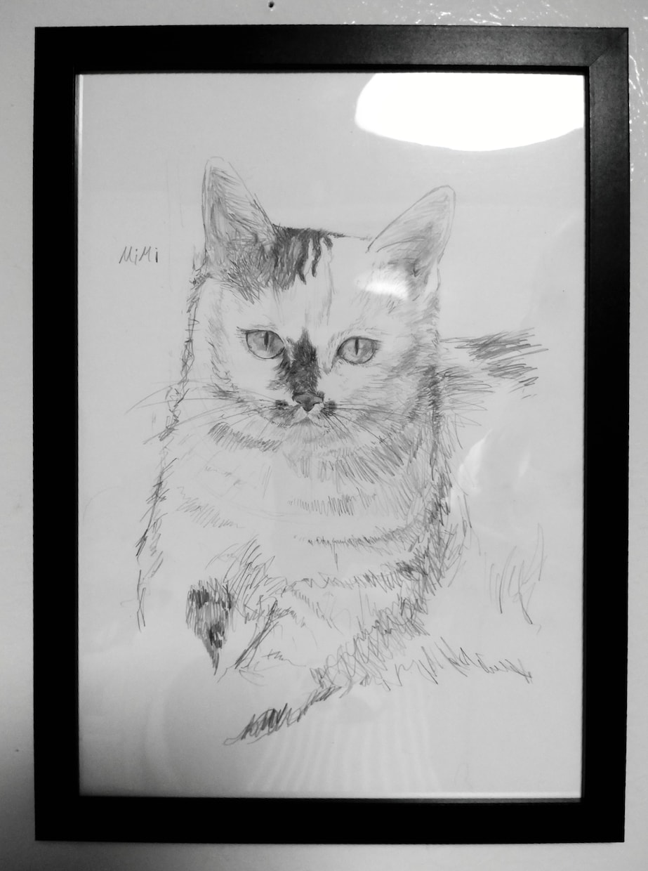 ペットの写真を元にスケッチします シンプルでオシャレな絵を制作します! イメージ3
