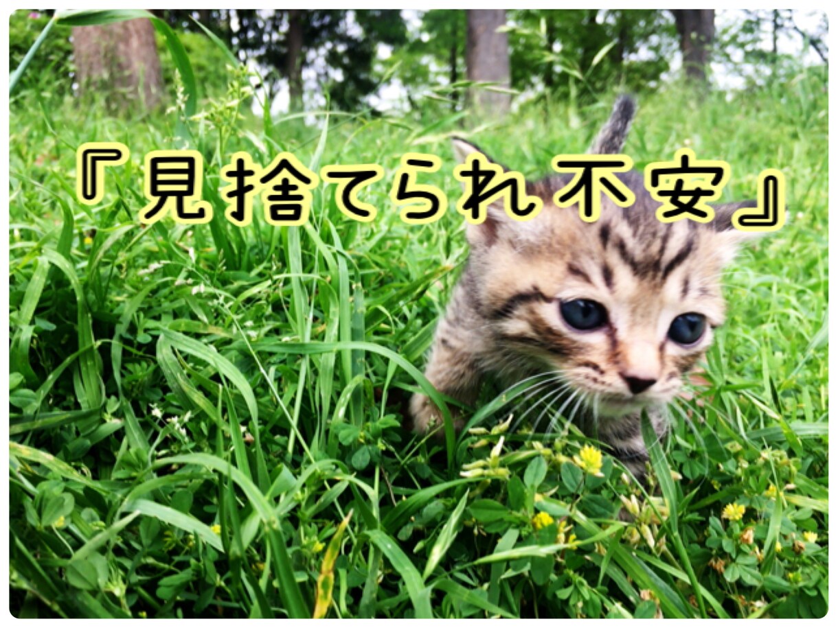 見捨てられちゃうかもしれない気持ちに寄り添います またそんな気持ちになって【誰か】にきいてほしい…。 イメージ1