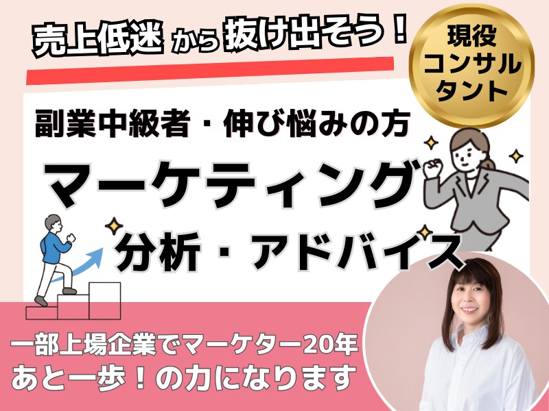 プロコンサル　マーケティング相談おうけします 元一部上場企業マーケッターがプロの目で分析とアドバイス イメージ1