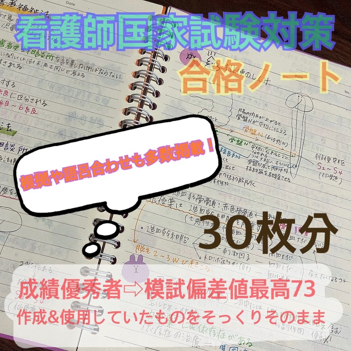 私が勉強した資料を販売致します エビデンスやイラスト付き☻☺︎分かりやすい！点数アップ！ イメージ1