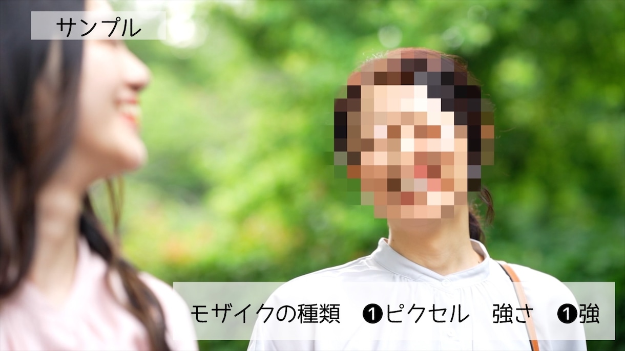 動画へのモザイク処理、承ります 面倒なモザイク処理を動画編集のプロが迅速に! イメージ1