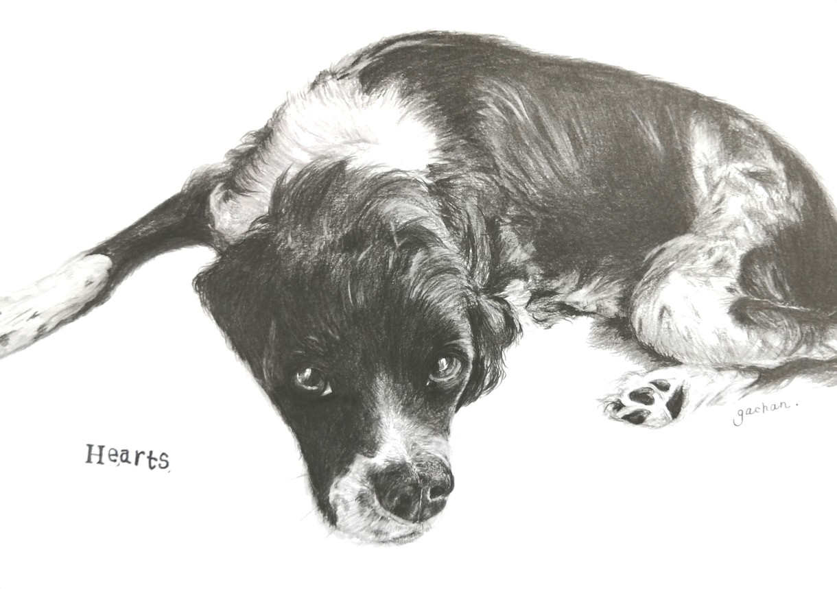 ペットのリアルデッサン描きます プレゼント用 またはインテリア用としてもオススメです！ イメージ1