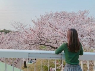 現役保健室の先生！30分間ぽんぽんチャットします 暇つぶしに♡ワンコインで気軽にチャットしましょ♡ イメージ1