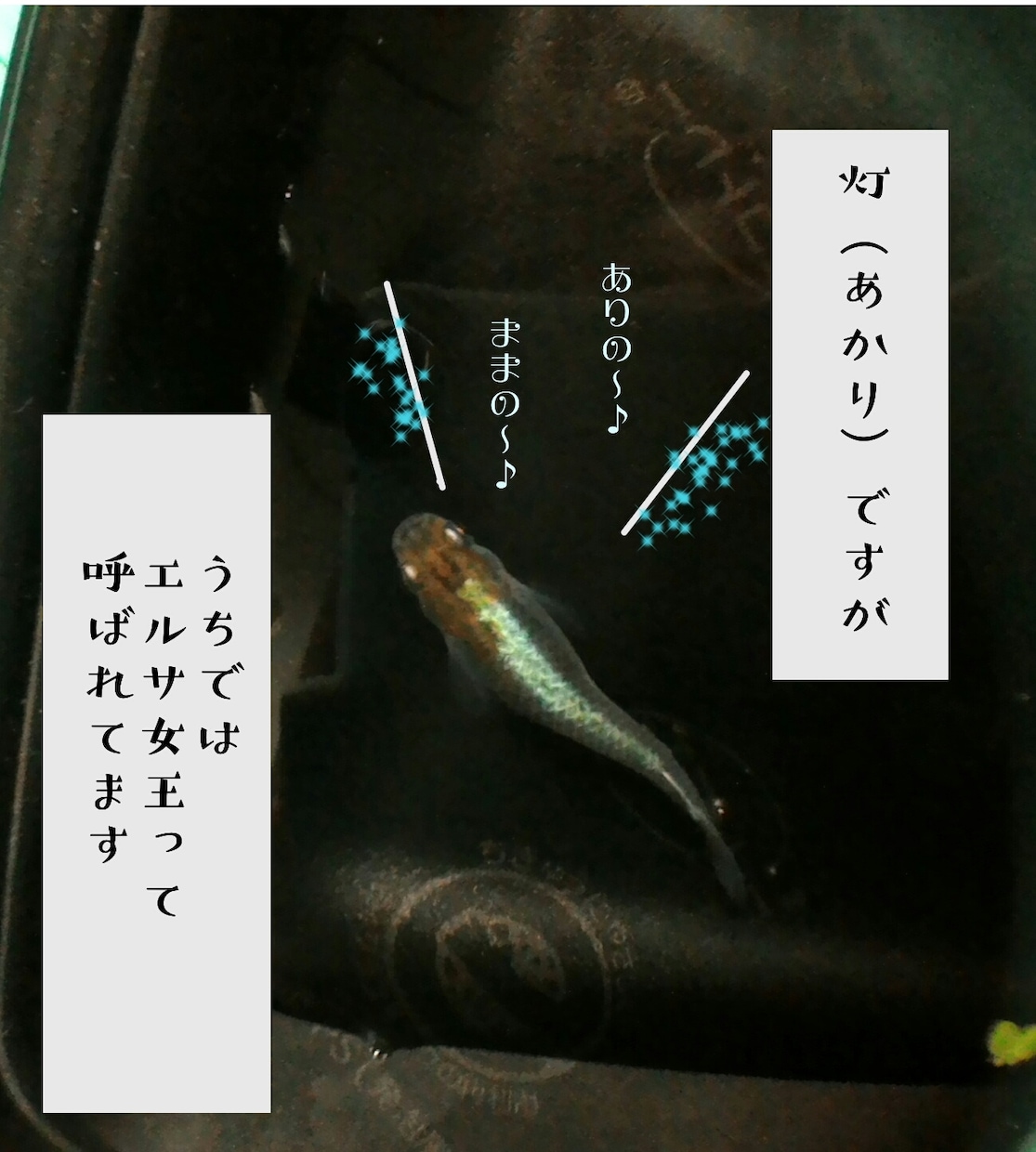 写真でマンガつくります インパクトのあるSNS投稿やチラシにもどうぞ イメージ1
