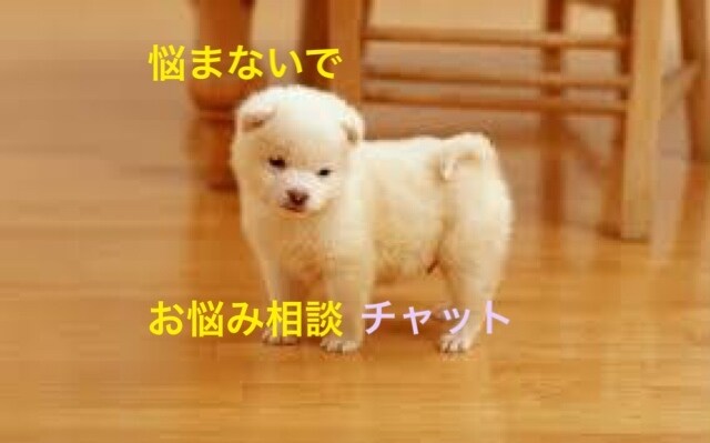お気軽に！チャットでお話なんでもききます 電話でのお悩み相談が難しいかたに！ イメージ1