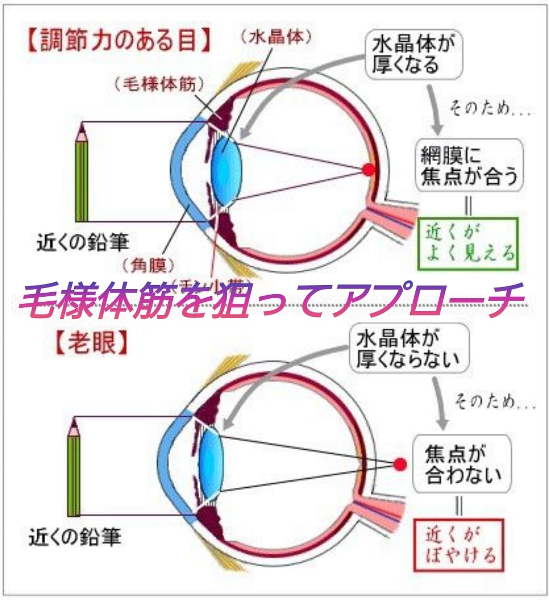 目の疲れに強力波動！3日間で視界がクリアになります 疲れ目に心地よい癒しの波動を与え、眼精疲労を撃退！ イメージ5