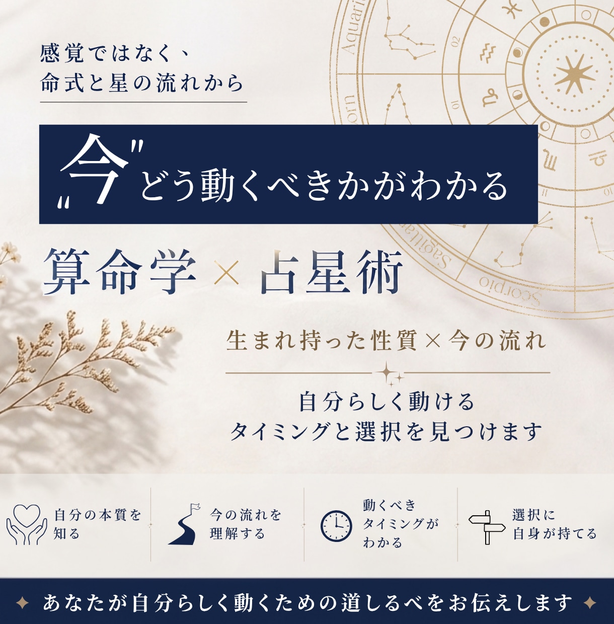 算命学×占星術で“今どう動くべきか”を読み解きます ″事実″をベースとした占いであなたの本質と道筋を示します イメージ1