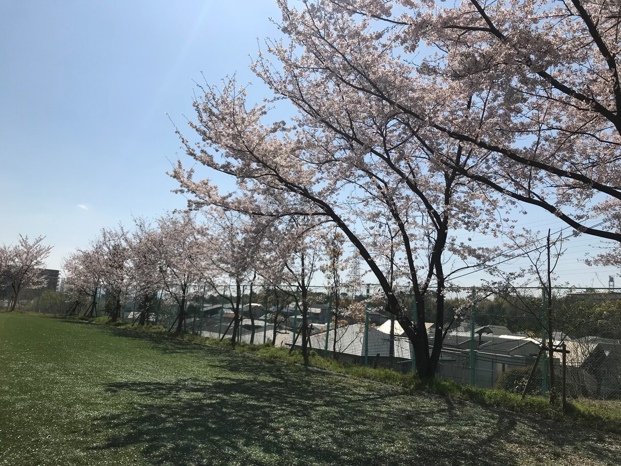 愚痴聞い屋」愚痴、お悩みをお聞きします お悩みを話して心を軽くしましょう イメージ1