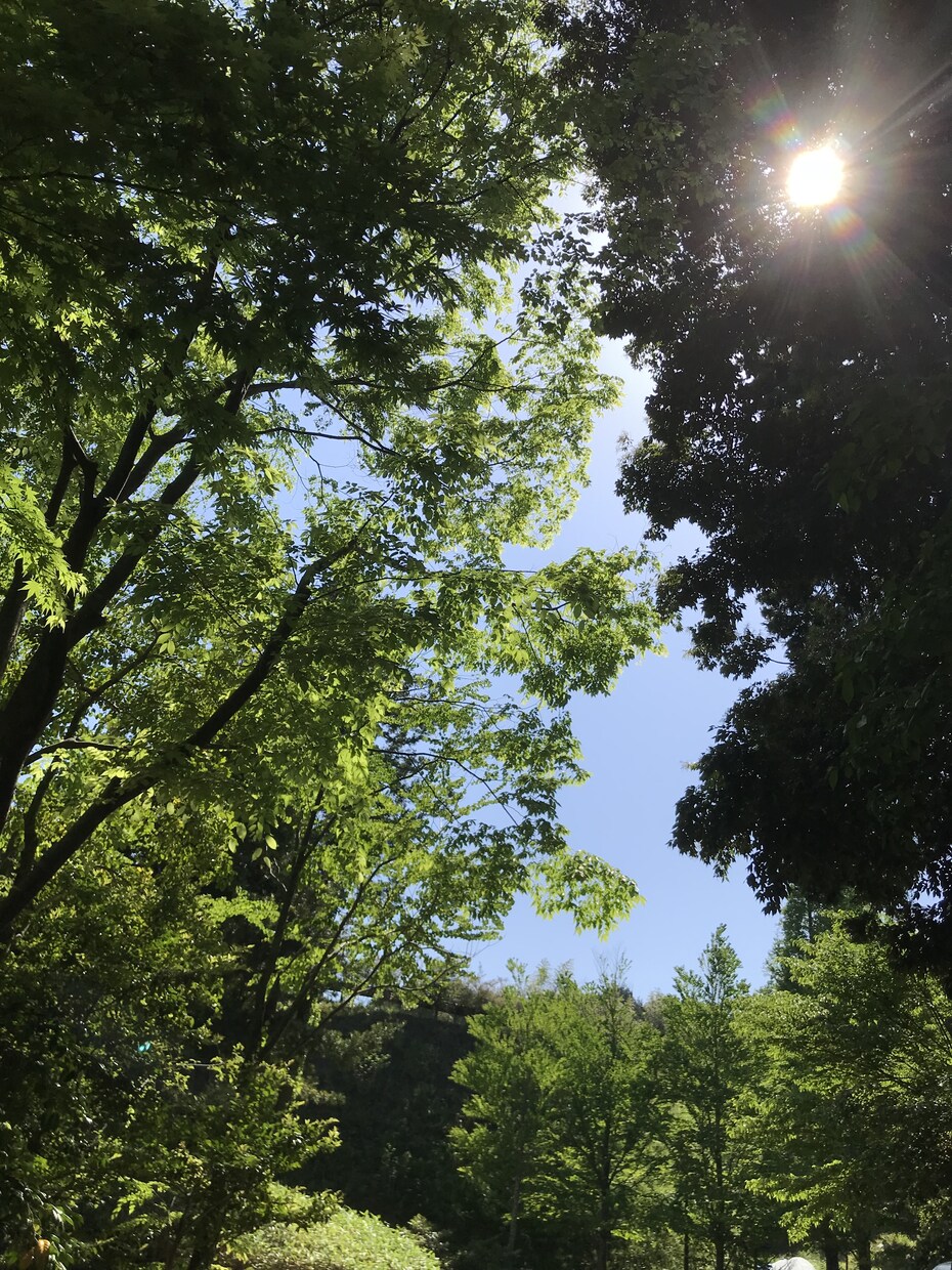 ケアマネジャー直伝！幸せ在宅介護相談始めます 在宅介護は大変です。日々の悩み、打ち明けてみませんか？ イメージ2