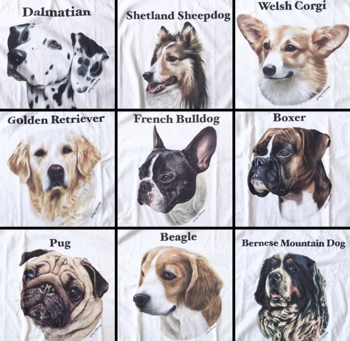 プロの画家がリアルなペットのデッサン肖像画描きます ペットの名入れTシャツやグッズのための原画★デジタル納品★ イメージ10