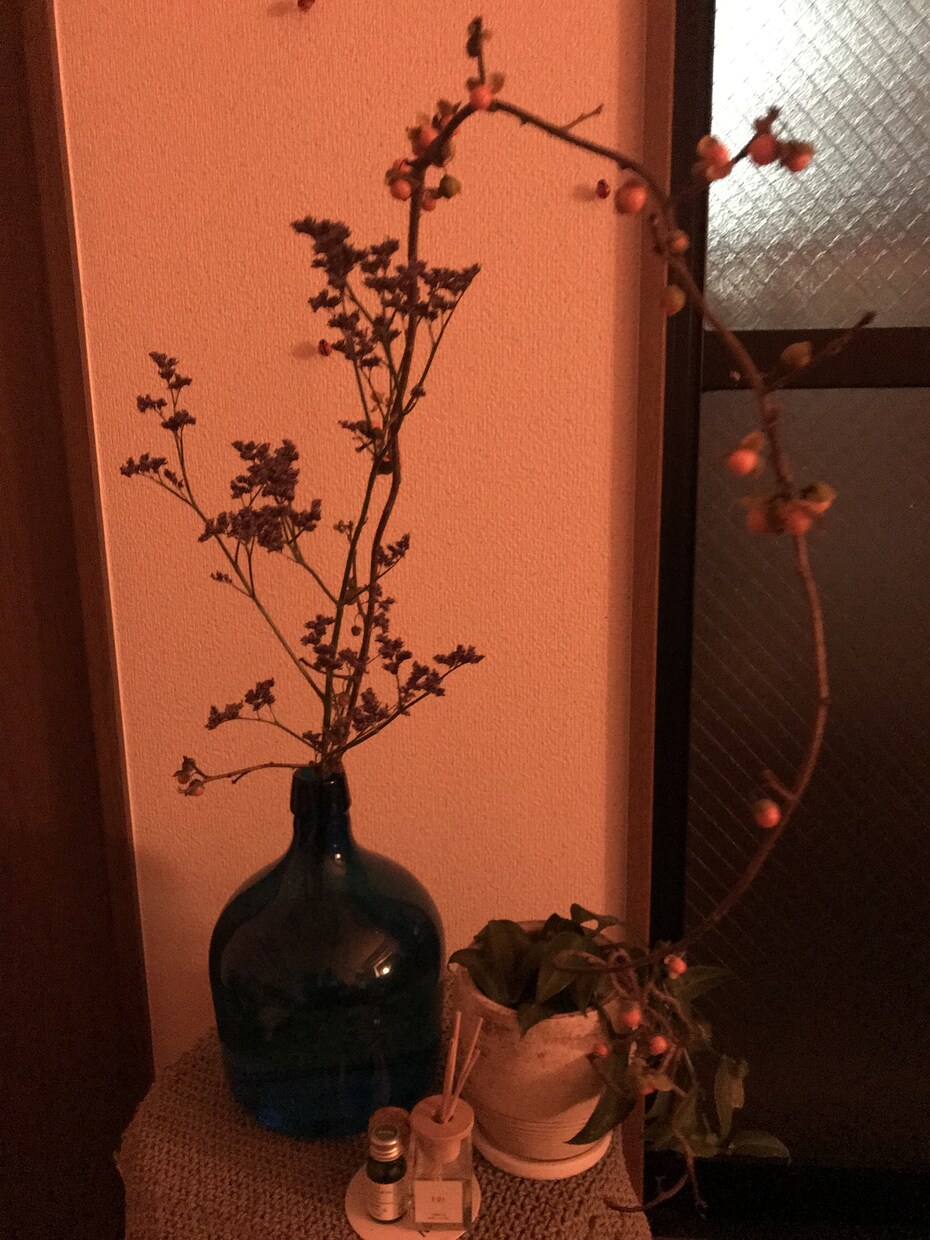 お部屋で過ごす時間をより楽しいものにします “無関心”から“好き” そして“こだわり”へ イメージ2