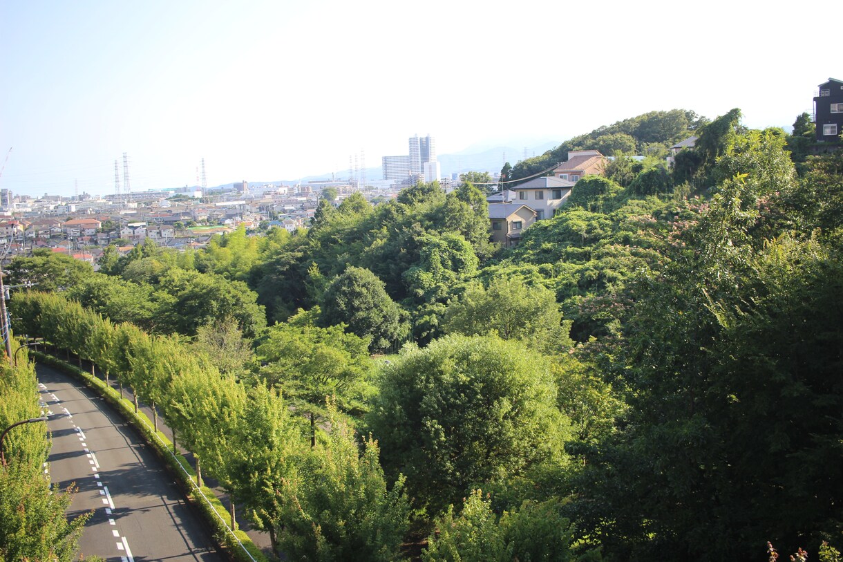 写真撮影：思い出の地の写真を撮ってきます 昔大学時代やサラリーマン時代に住んでいた町の記録を残します。 イメージ3