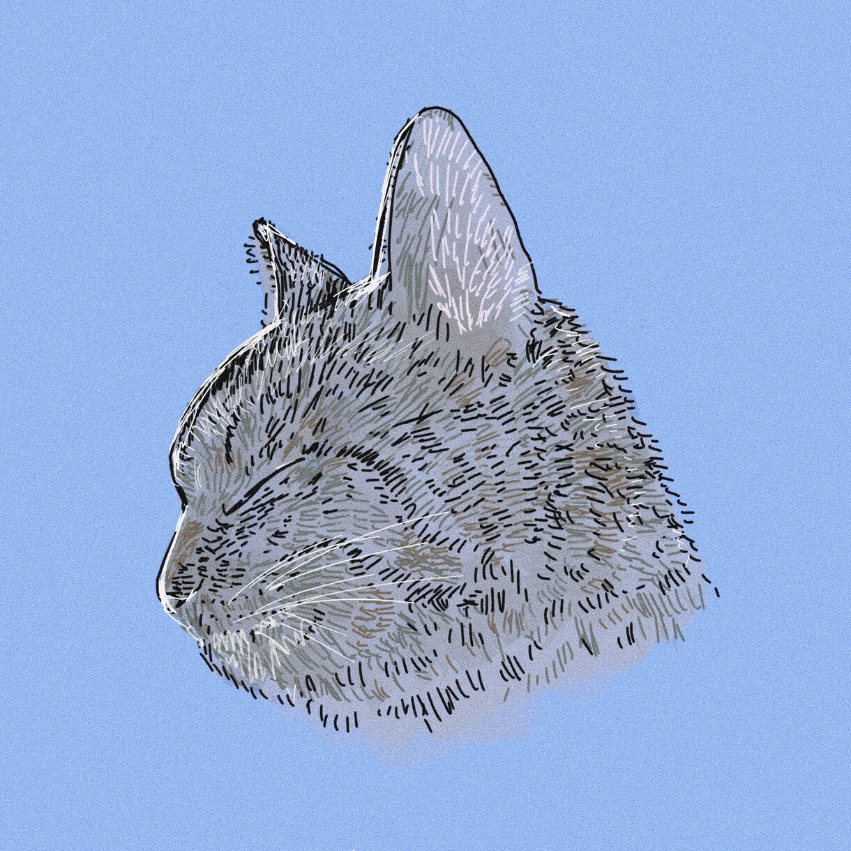 あなただけのペットの絵を描きます ペットの魅力を形に残すお手伝いをさせてください。 イメージ5