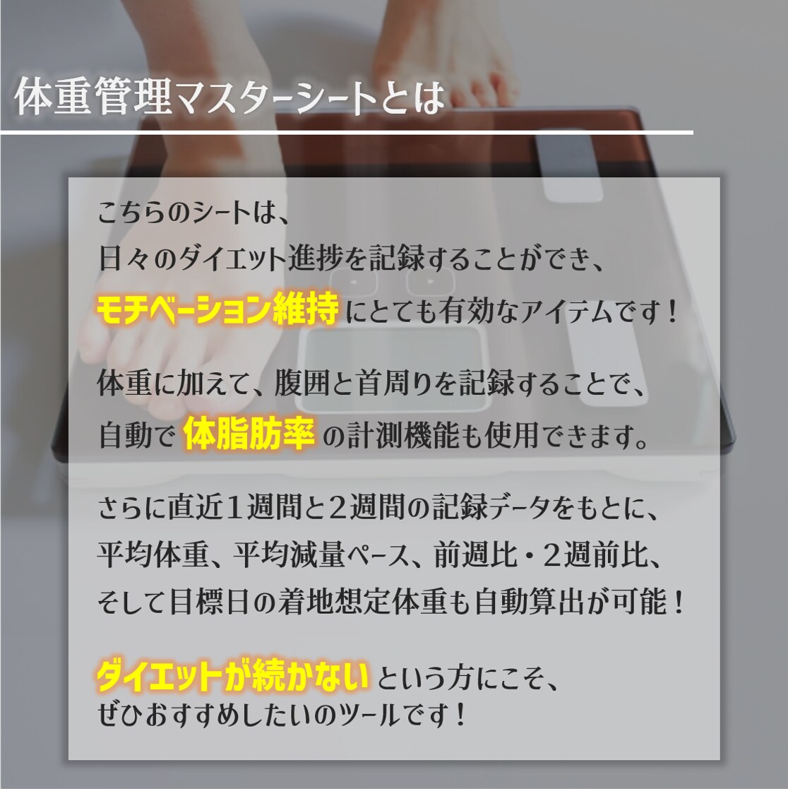 オリジナル体重管理マスターシートを作成します 見える化でモチベーションアップ！毎日の記録が成功への鍵！ イメージ2