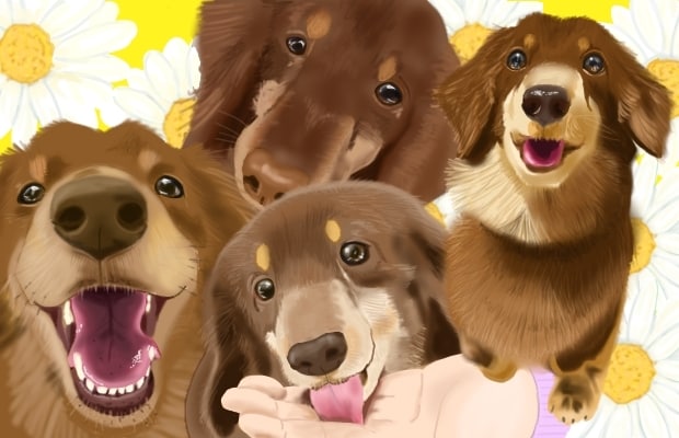リアルな☆ペット・動物イラスト描きます あなたの大切なペットの写真をイラストにして残しませんか？ イメージ1