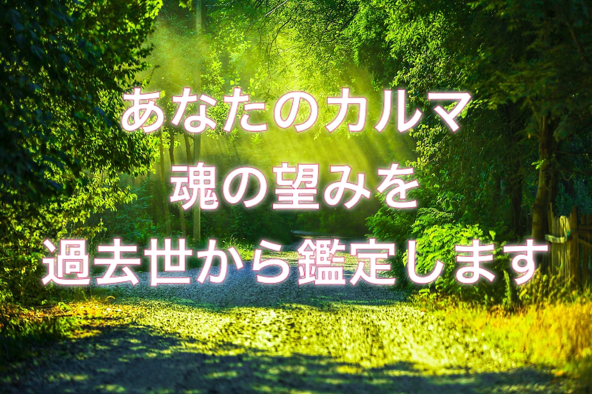 前世鑑定！過去世 今世の使命 宿命 カルマ占います どんな過去世？今世の使命 - その他