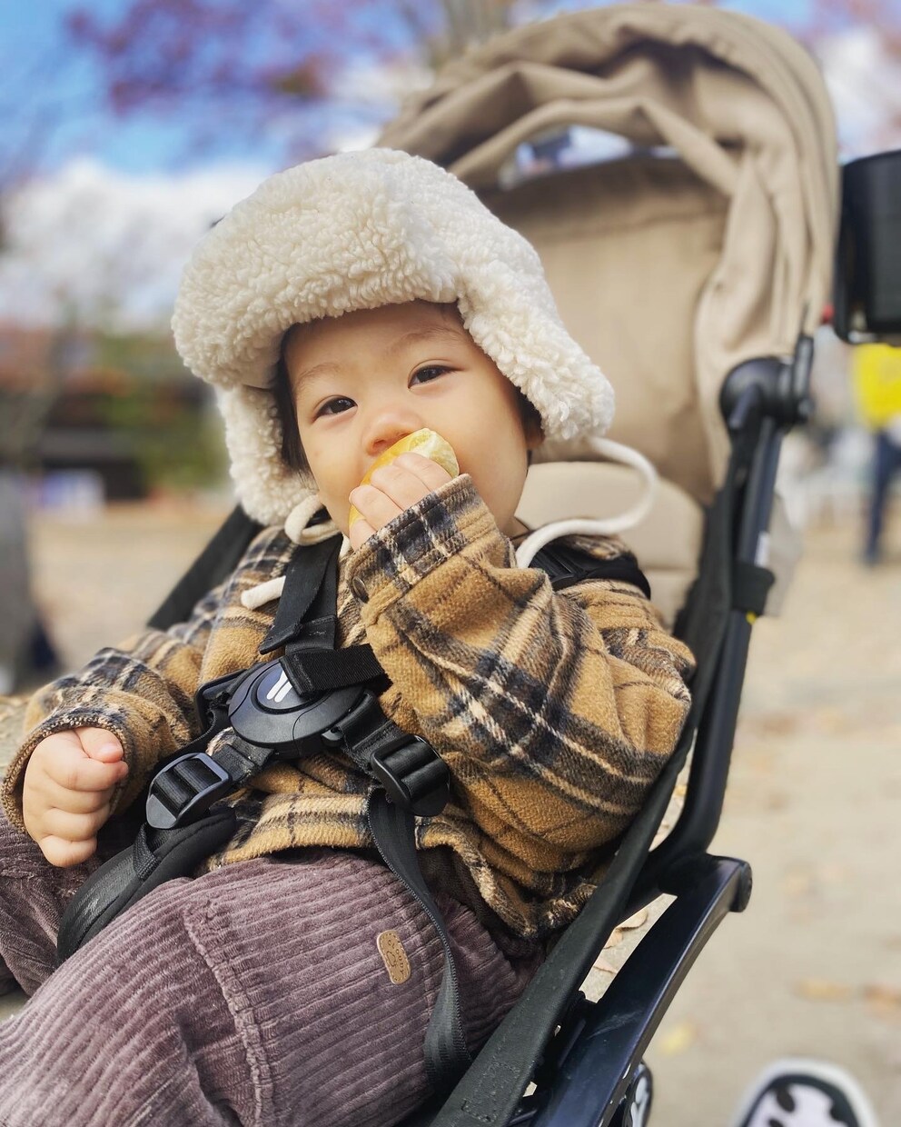 遊ぶ、食べる、笑うベビー子どもの写真素材提供します ぱっちりお目目、さらふわ桃肌、ふさふさヘアーの1歳boyです イメージ1