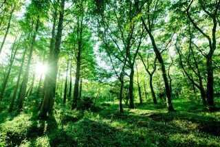 霊感タロット&ヒーリング✨サポートします 魂を癒し、波動を高めて幸運へと導きます！♾ イメージ4