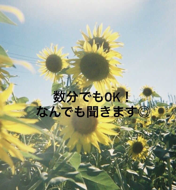 あなたのお話、たっぷりゆったりお聞きします あたたかく、穏やかに、一緒にお話ししましょう！♡ イメージ1
