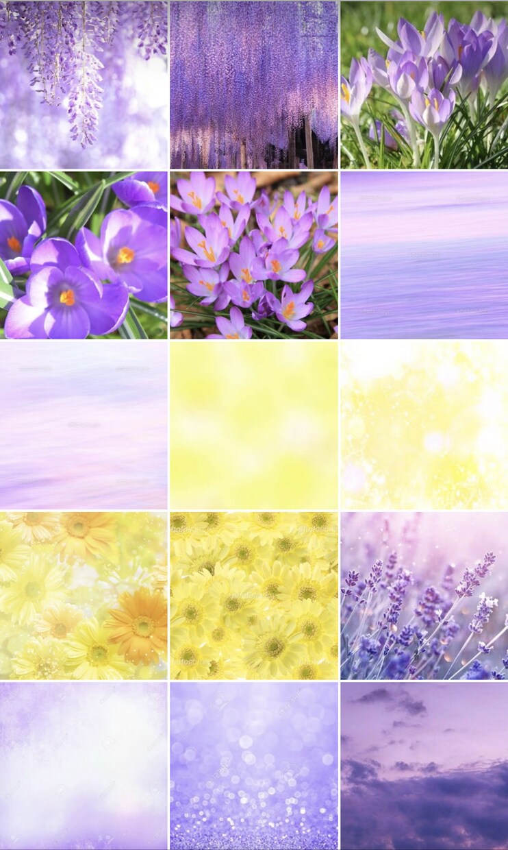 一生変わらない【あなたのカラー】写真でお伝えします 【あなたのカラーに近い画像15枚】と【あなたへのメッセージ】 イメージ9