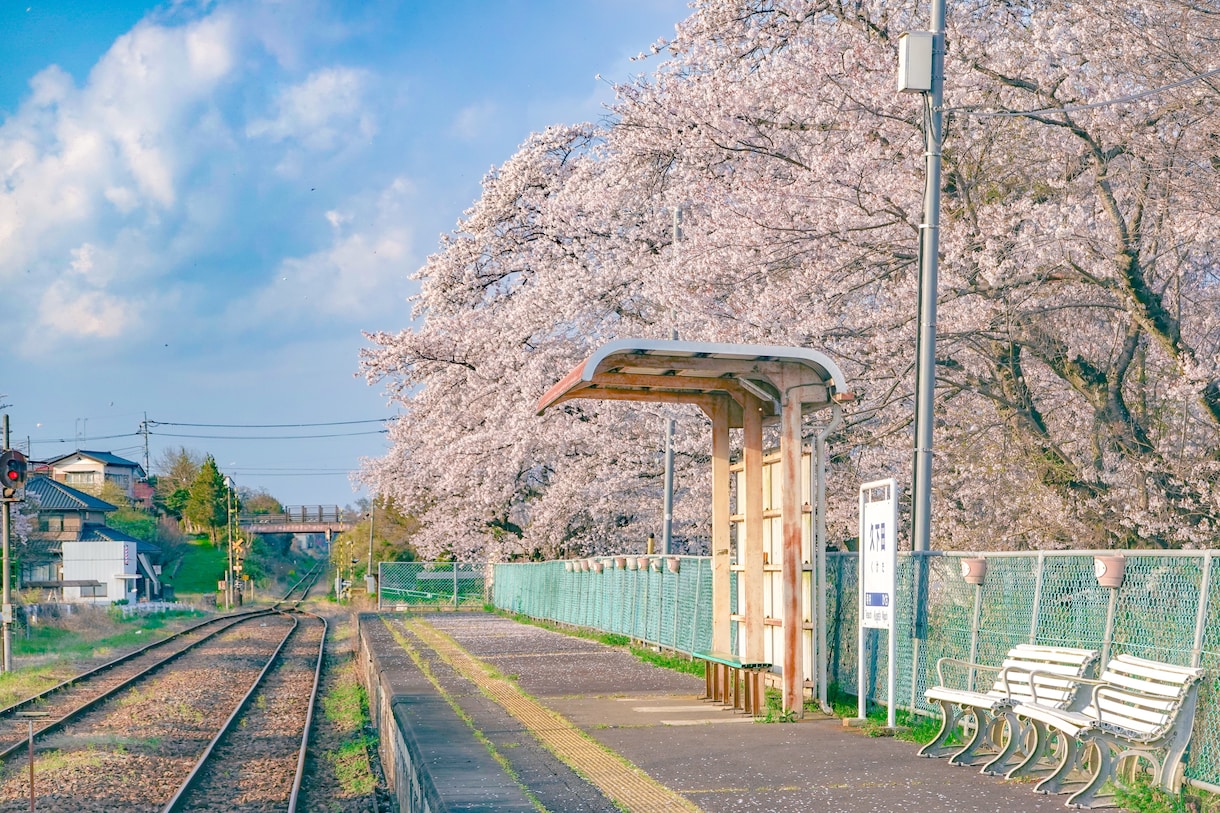 あなたの代わりに写真撮影承ります 旅行代理店勤務の経験を活かして、日本中どこでも駆けつけます！ イメージ7