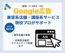 Google広告の運用改善＆初期設定支援します 現役プロがサポート！Google広告P-MAX、DG イメージ1