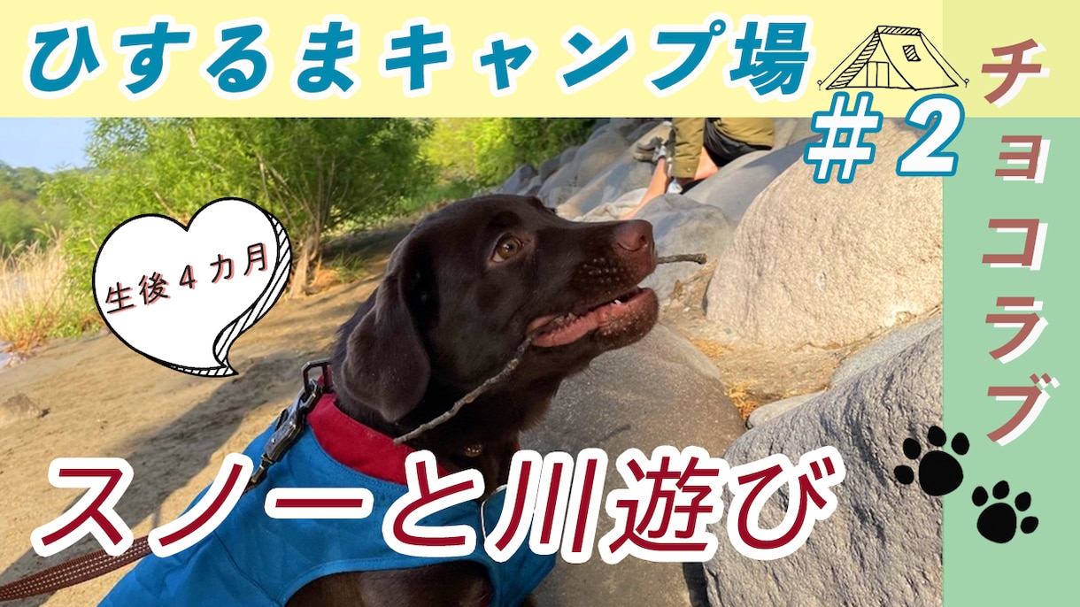 1枚3000円！YouTubeサムネイル作ります 面倒なサムネイルは任せて動画編集の時間に回してください♪ イメージ6