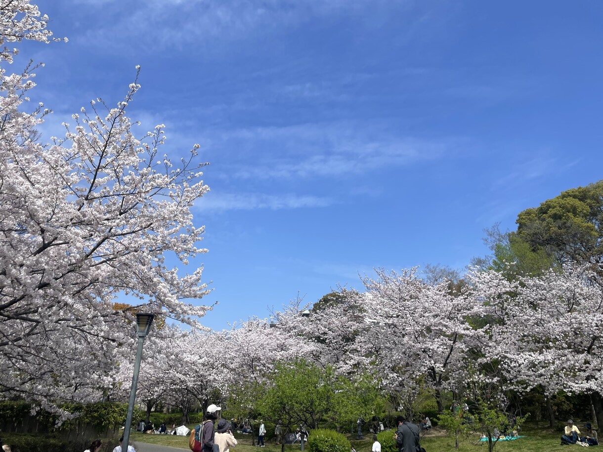 風景、花の画像提供します 風景、花、日常の写真提供します。 イメージ9