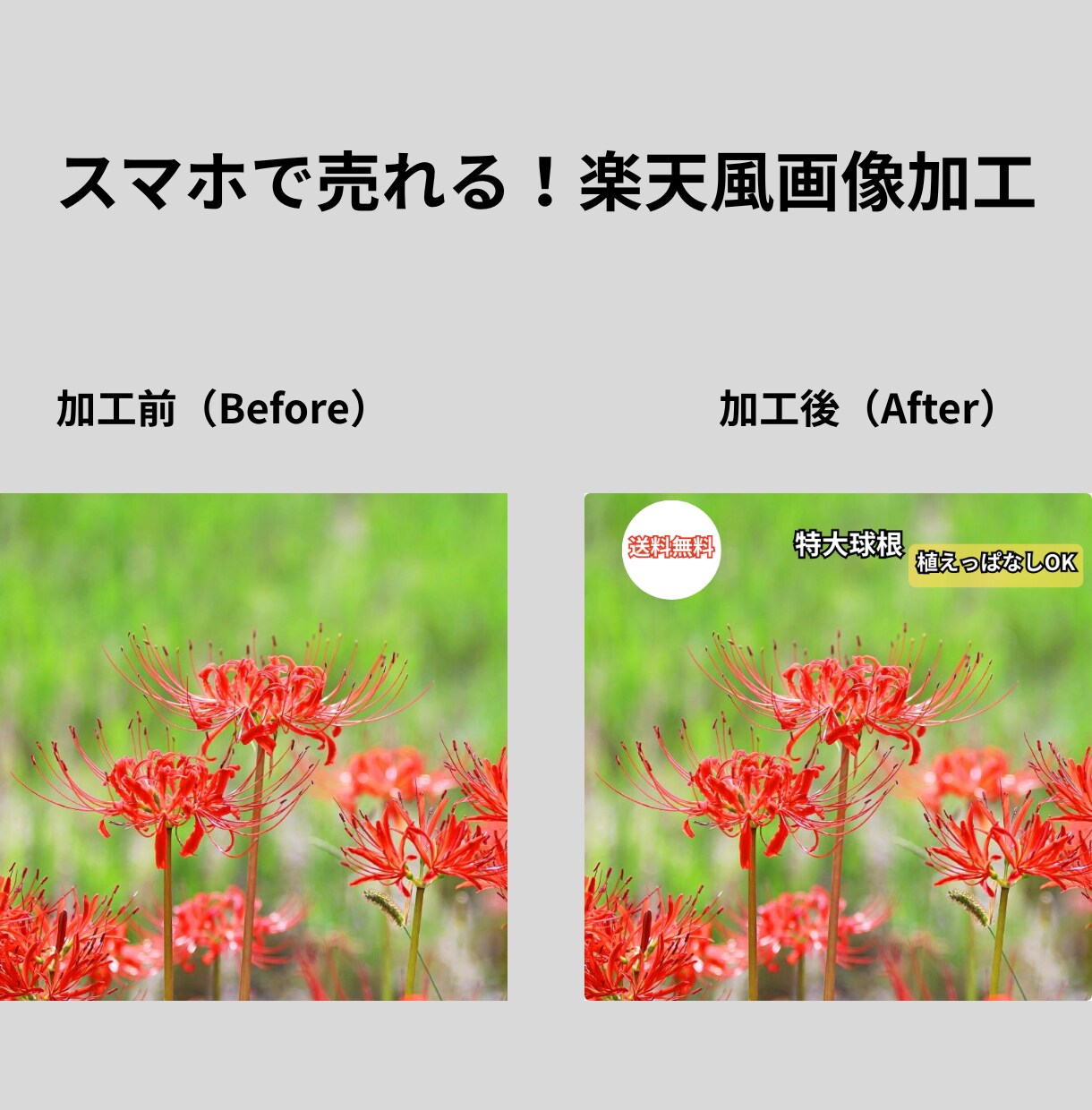 楽天・yahoo売れる商品画像加工します スマホ視認性117％！パッと目を引く極太縁取りとレイアウト イメージ2