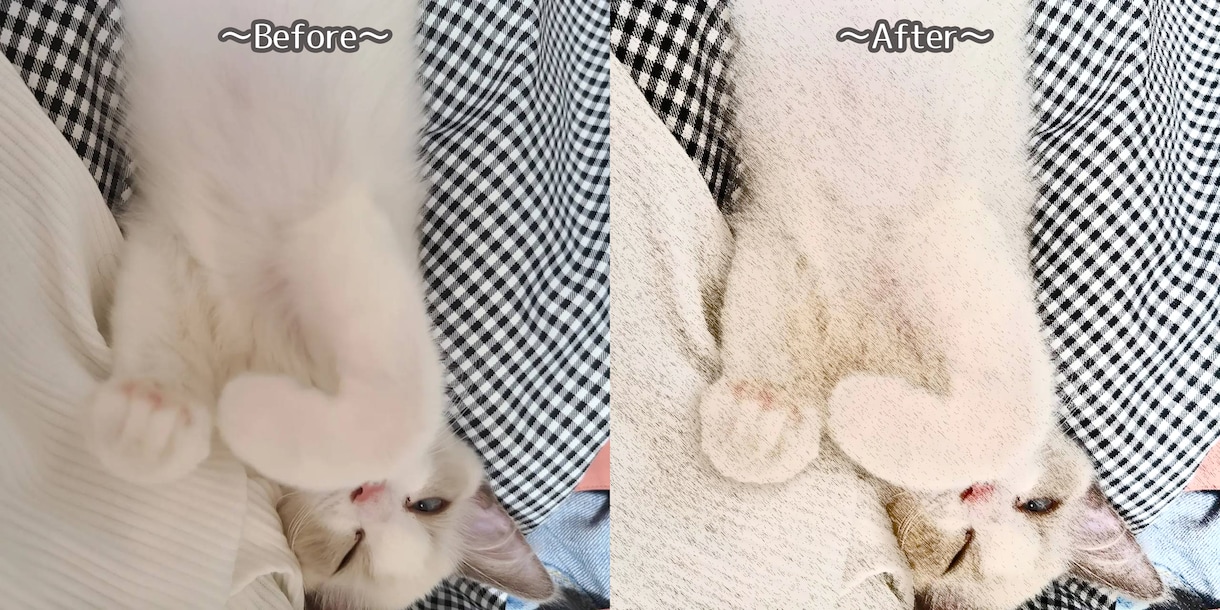 写真の加工承ります いつもの写真をちょっといじってみませんか？ イメージ5