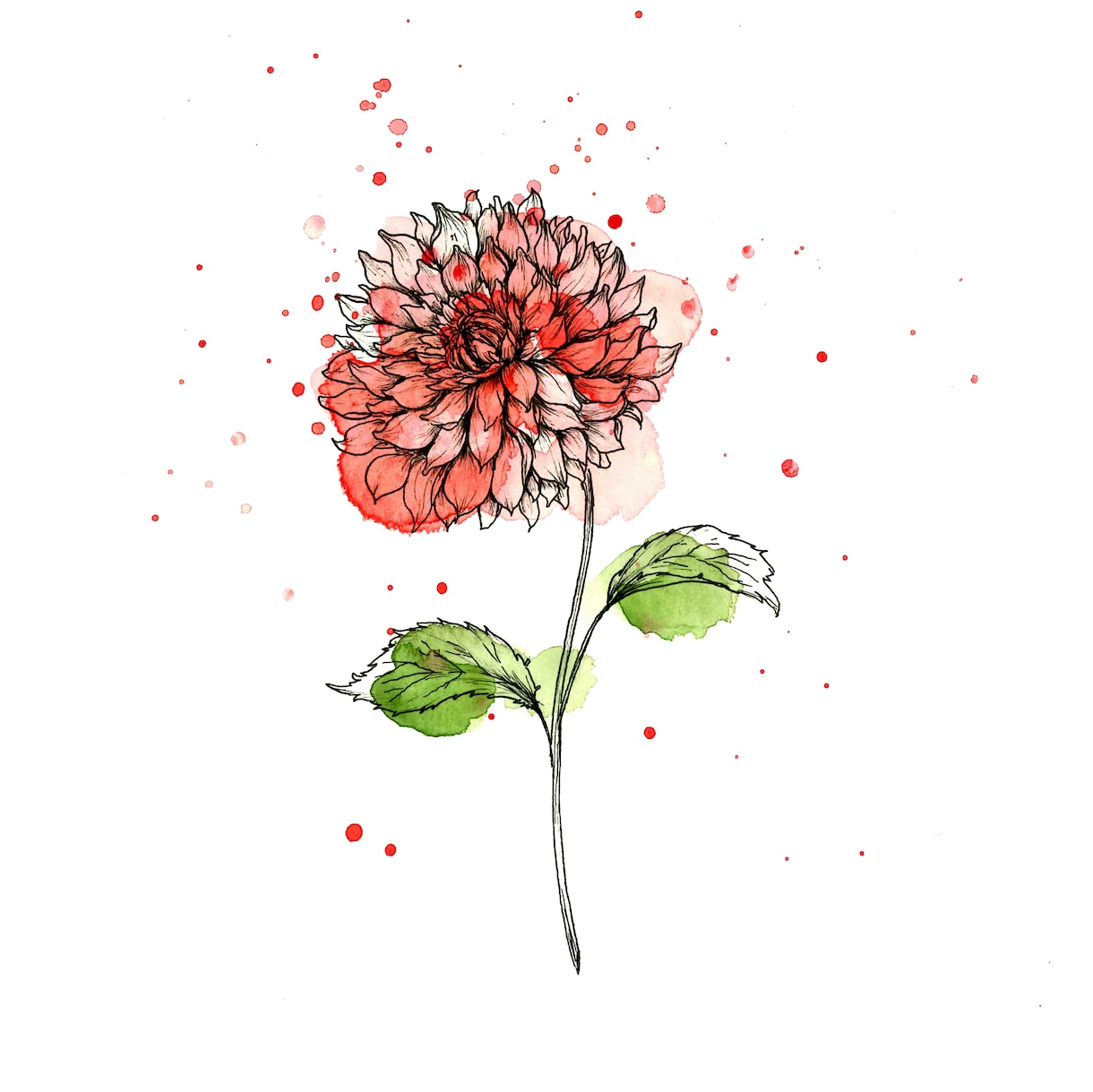 誕生花やお好きなお花の絵を描きます あなたに、大切な誰かに、世界に一枚だけの特別なお花を。 イメージ3