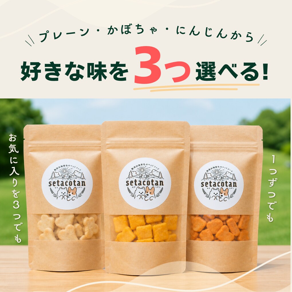 おしゃれで見やすく、「売れる」チラシ作ります 商品の魅力を引き出します＜カフェ・サロン・個人店さま歓迎＞ イメージ10