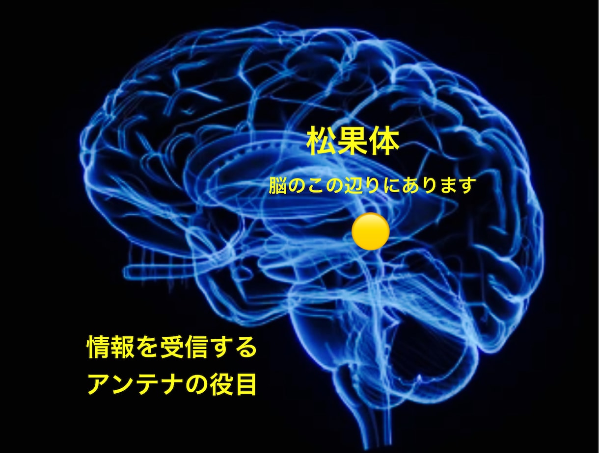 ドラゴン・ゲート開門！松果体活性化します 限定30名！運命の境界線を超える龍の最上級エネルギーワーク イメージ2