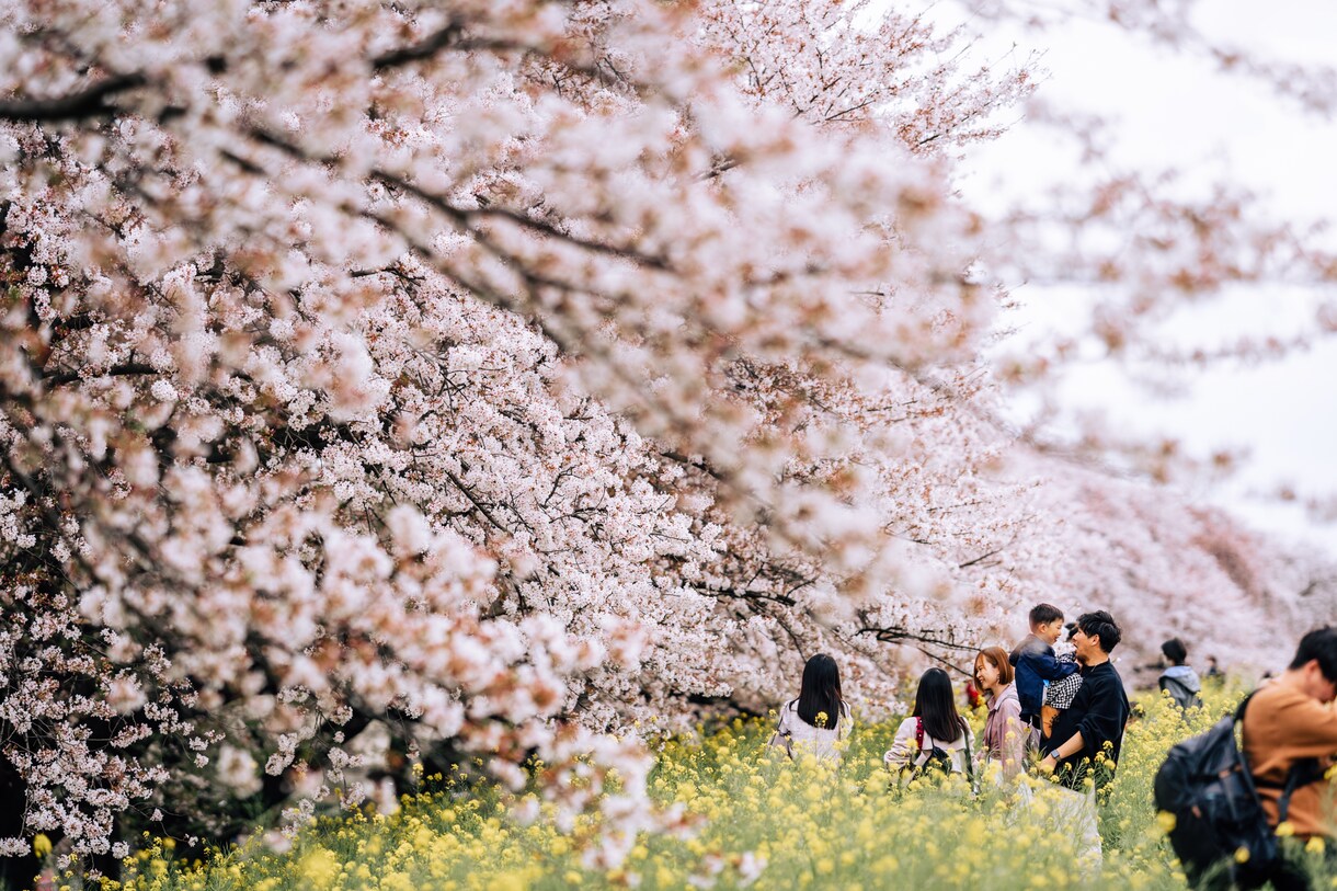 お気に入りの写真、甦らせます お写真のレタッチや余計な写り込みを消します！ イメージ3