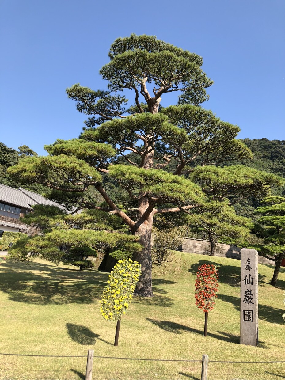 国内旅行のプランニングします 格安旅行は任せて！効率よいプランニングします！ イメージ4