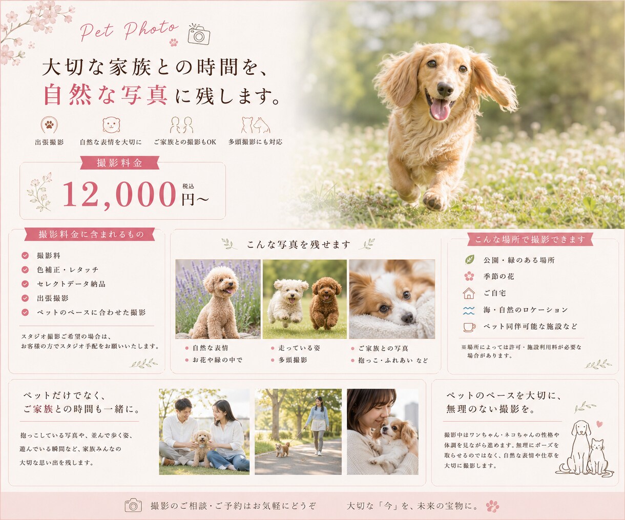 ペット撮影で大切な家族との思い出を写真に残します 犬・猫・小動物・鳥・爬虫類など幅広く対応します。 イメージ6
