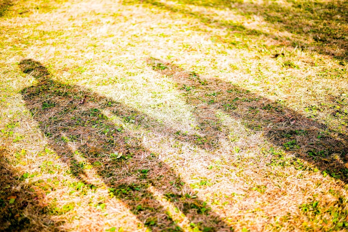 通話⭐️あなたのスキマ時間にお話し聞きます 婚活に行き詰ってる方も話してスッキリ✨️しませんか イメージ3