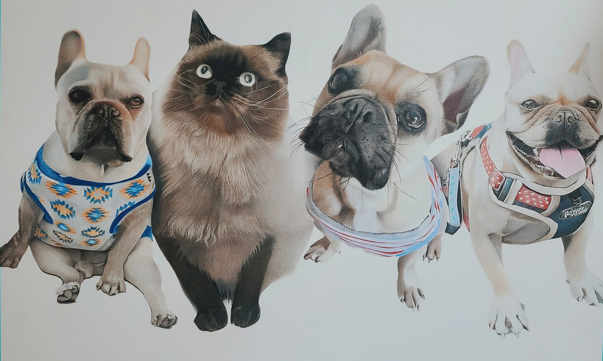 色鉛筆で、リアルなペットの絵をお描きします 大切なペットを絵にして、ご自宅にプレゼントにいかがですか? イメージ4
