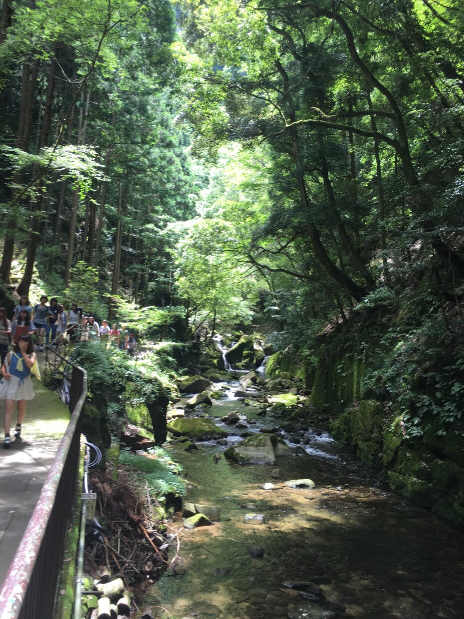 5分から何でもお話し聞きます 手軽に聞いて欲しい！じっくり聞いて欲しい！待ってます☆ イメージ1