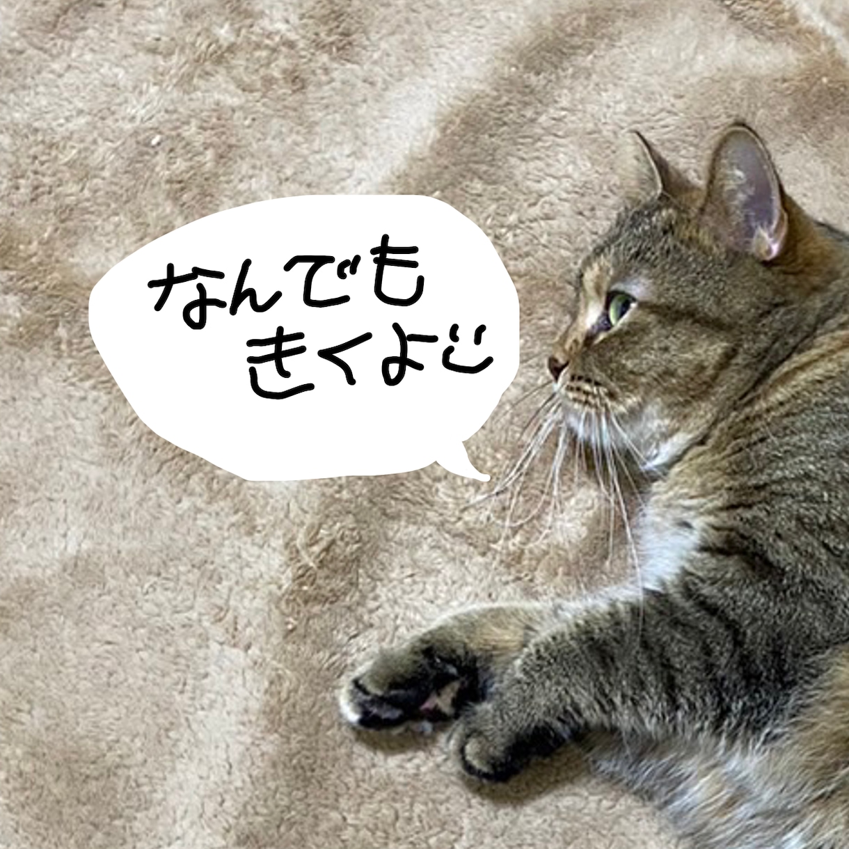 お悩み愚痴雑談なんでも聞きます お気軽にどうぞ。暇つぶしでも構いません！ イメージ1