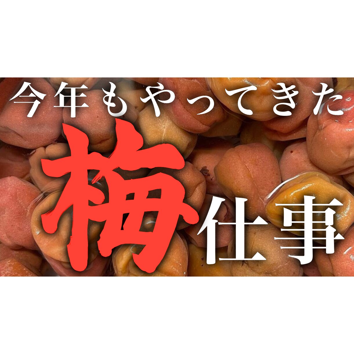 必ず注目を集めるサムネイルを作ります YouTubeのサムネネイル画像を制作致します！ イメージ3