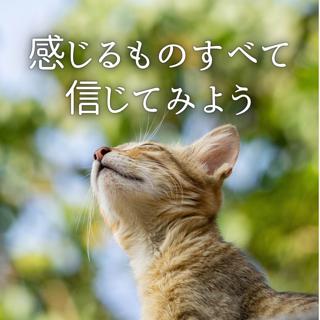 その感覚、間違っていないですよ！とお伝えします 不思議な体験、夢、神様のこと。あなたの心をお話しませんか？ イメージ1