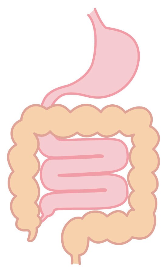 女性限定⭐︎腸内タイプ診断！腸のお悩みお答えします お腹に関する様々なお悩みに☆腸内タイプ診断でまずは知ろう♪ イメージ1