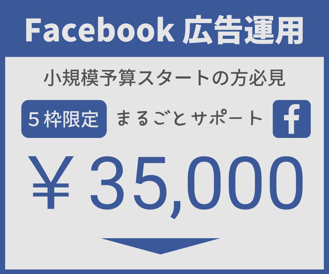 ビデオチャット対応Facebook広告運用承ります 薬機法、景表法にも精通した現役プロが親切丁寧にサポート イメージ1